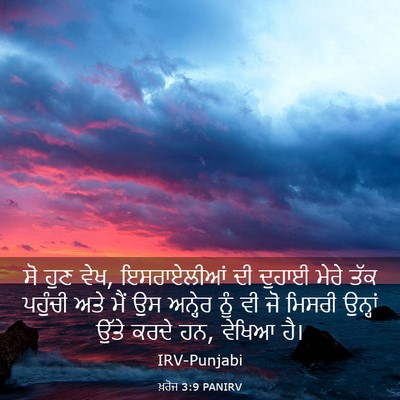Picture 03 - ਖ਼ਰੋਜ 3:9 PANIRV - ਸੋ ਹੁਣ ਵੇਖ, - Bible Verse Picture