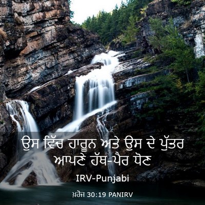 Picture 03 - ਖ਼ਰੋਜ 30:19 PANIRV - ਉਸ ਵਿੱਚ ਹਾਰੂਨ ਅਤੇ - Bible Verse Picture