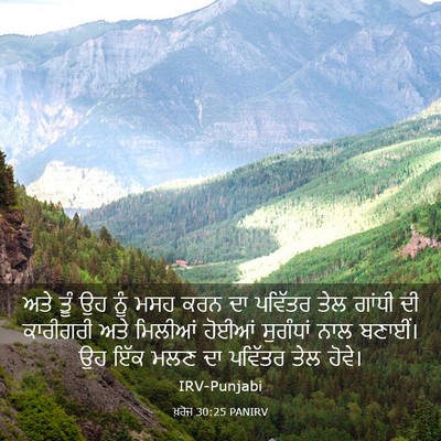 Picture 03 - ਖ਼ਰੋਜ 30:25 PANIRV - ਅਤੇ ਤੂੰ ਉਹ ਨੂੰ ਮਸਹ - Bible Verse Picture