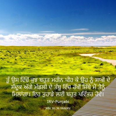 Picture 03 - ਖ਼ਰੋਜ 30:36 PANIRV - ਤੂੰ ਉਸ ਵਿੱਚੋਂ ਕੁਝ - Bible Verse Picture