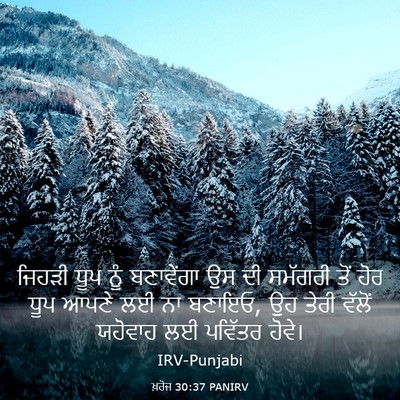 Picture 03 - ਖ਼ਰੋਜ 30:37 PANIRV - ਜਿਹੜੀ ਧੂਪ ਨੂੰ - Bible Verse Picture