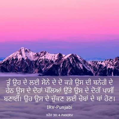 Picture 03 - ਖ਼ਰੋਜ 30:4 PANIRV - ਤੂੰ ਉਹ ਦੇ ਲਈ ਸੋਨੇ - Bible Verse Picture