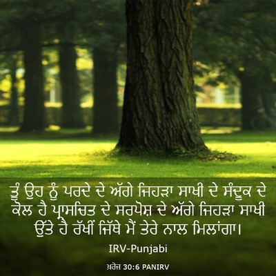 Picture 03 - ਖ਼ਰੋਜ 30:6 PANIRV - ਤੂੰ ਉਹ ਨੂੰ ਪਰਦੇ ਦੇ - Bible Verse Picture