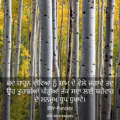 Picture 03 - ਖ਼ਰੋਜ 30:8 PANIRV - ਜਦ ਹਾਰੂਨ ਦੀਵਿਆਂ - Bible Verse Picture