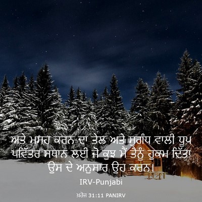 Picture 03 - ਖ਼ਰੋਜ 31:11 PANIRV - ਅਤੇ ਮਸਹ ਕਰਨ ਦਾ ਤੇਲ - Bible Verse Picture