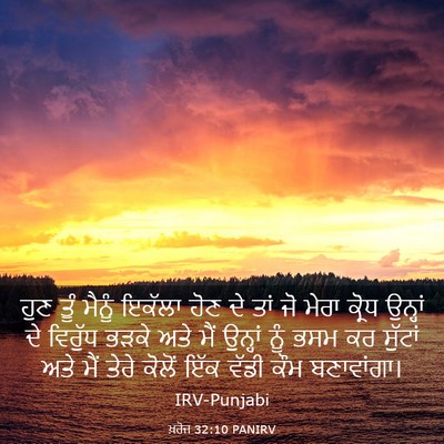 Picture 03 - ਖ਼ਰੋਜ 32:10 PANIRV - ਹੁਣ ਤੂੰ ਮੈਨੂੰ - Bible Verse Picture