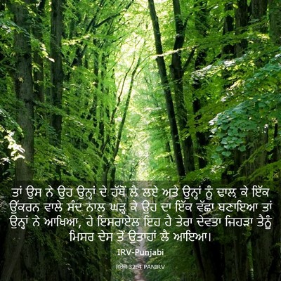 Picture 03 - ਖ਼ਰੋਜ 32:4 PANIRV - ਤਾਂ ਉਸ ਨੇ ਉਹ ਉਨ੍ਹਾਂ - Bible Verse Picture