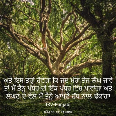 Picture 03 - ਖ਼ਰੋਜ 33:22 PANIRV - ਅਤੇ ਇਸ ਤਰ੍ਹਾਂ - Bible Verse Picture
