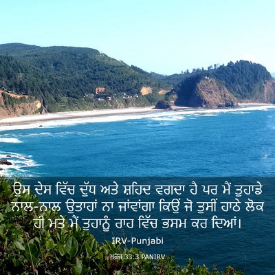 Picture 03 - ਖ਼ਰੋਜ 33:3 PANIRV - ਉਸ ਦੇਸ ਵਿੱਚ ਦੁੱਧ - Bible Verse Picture