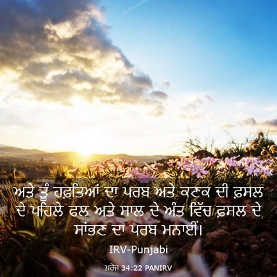 Picture 03 - ਖ਼ਰੋਜ 34:22 PANIRV - ਅਤੇ ਤੂੰ ਹਫ਼ਤਿਆਂ ਦਾ - Bible Verse Picture
