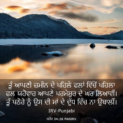 Picture 03 - ਖ਼ਰੋਜ 34:26 PANIRV - ਤੂੰ ਆਪਣੀ ਜ਼ਮੀਨ ਦੇ - Bible Verse Picture