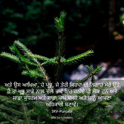 Picture 03 - ਖ਼ਰੋਜ 34:9 PANIRV - ਅਤੇ ਉਸ ਆਖਿਆ, ਹੇ - Bible Verse Picture
