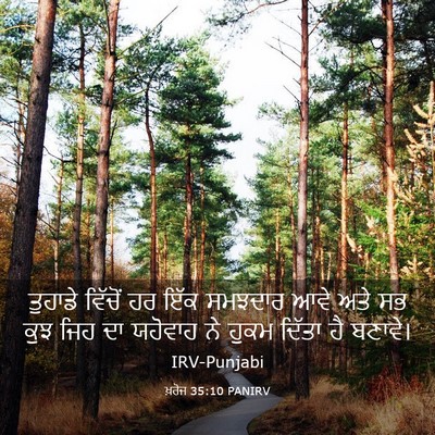Picture 03 - ਖ਼ਰੋਜ 35:10 PANIRV - ਤੁਹਾਡੇ ਵਿੱਚੋਂ ਹਰ - Bible Verse Picture
