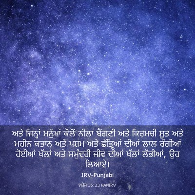 Picture 03 - ਖ਼ਰੋਜ 35:23 PANIRV - ਅਤੇ ਜਿਨ੍ਹਾਂ - Bible Verse Picture