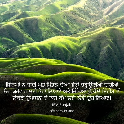 Picture 03 - ਖ਼ਰੋਜ 35:24 PANIRV - ਜਿੰਨਿਆਂ ਨੇ ਚਾਂਦੀ - Bible Verse Picture