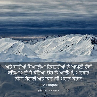 Picture 03 - ਖ਼ਰੋਜ 35:25 PANIRV - ਅਤੇ ਸਾਰੀਆਂ - Bible Verse Picture