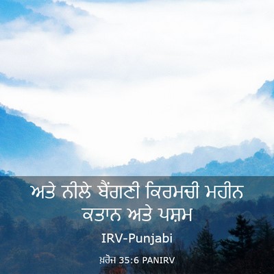 Picture 03 - ਖ਼ਰੋਜ 35:6 PANIRV - ਅਤੇ ਨੀਲੇ ਬੈਂਗਣੀ - Bible Verse Picture