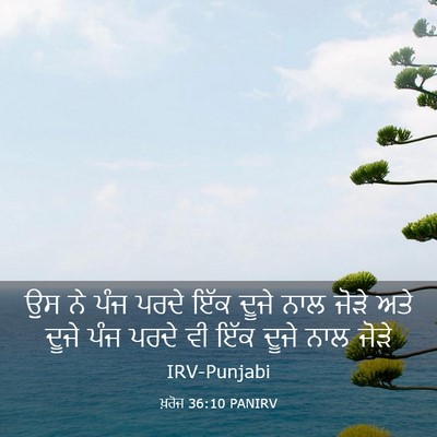 Picture 03 - ਖ਼ਰੋਜ 36:10 PANIRV - ਉਸ ਨੇ ਪੰਜ ਪਰਦੇ ਇੱਕ - Bible Verse Picture
