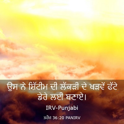 Picture 03 - ਖ਼ਰੋਜ 36:20 PANIRV - ਉਸ ਨੇ ਸ਼ਿੱਟੀਮ ਦੀ - Bible Verse Picture