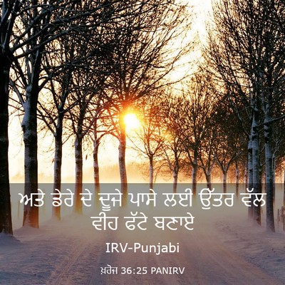 Picture 03 - ਖ਼ਰੋਜ 36:25 PANIRV - ਅਤੇ ਡੇਰੇ ਦੇ ਦੂਜੇ - Bible Verse Picture