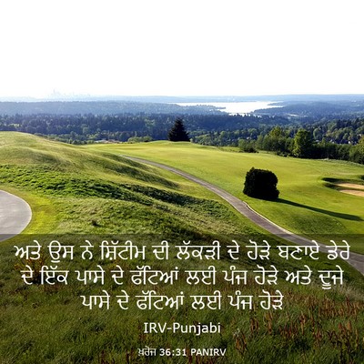 Picture 03 - ਖ਼ਰੋਜ 36:31 PANIRV - ਅਤੇ ਉਸ ਨੇ ਸ਼ਿੱਟੀਮ - Bible Verse Picture