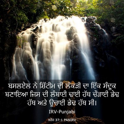 Picture 03 - ਖ਼ਰੋਜ 37:1 PANIRV - ਬਸਲਏਲ ਨੇ ਸ਼ਿੱਟੀਮ - Bible Verse Picture