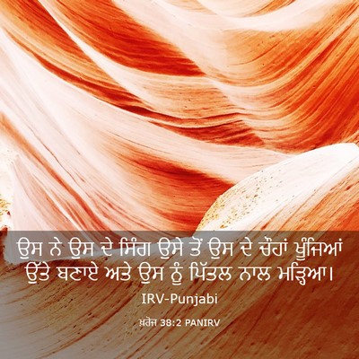 Picture 03 - ਖ਼ਰੋਜ 38:2 PANIRV - ਉਸ ਨੇ ਉਸ ਦੇ ਸਿੰਗ - Bible Verse Picture