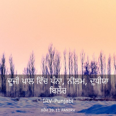 Picture 03 - ਖ਼ਰੋਜ 39:11 PANIRV - ਦੂਜੀ ਪਾਲ ਵਿੱਚ ਪੰਨਾ, - Bible Verse Picture
