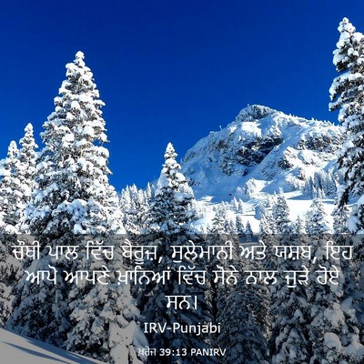 Picture 03 - ਖ਼ਰੋਜ 39:13 PANIRV - ਚੌਥੀ ਪਾਲ ਵਿੱਚ - Bible Verse Picture