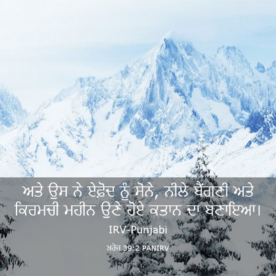 Picture 03 - ਖ਼ਰੋਜ 39:2 PANIRV - ਅਤੇ ਉਸ ਨੇ ਏਫ਼ੋਦ ਨੂੰ - Bible Verse Picture