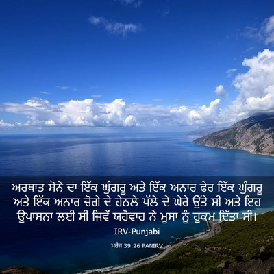 Picture 03 - ਖ਼ਰੋਜ 39:26 PANIRV - ਅਰਥਾਤ ਸੋਨੇ ਦਾ ਇੱਕ - Bible Verse Picture
