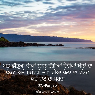 Picture 03 - ਖ਼ਰੋਜ 39:34 PANIRV - ਅਤੇ ਛੱਤ੍ਰਿਆਂ ਦੀਆਂ - Bible Verse Picture