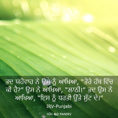 Picture 03 - ਖ਼ਰੋਜ 4:2 PANIRV - ਤਦ ਯਹੋਵਾਹ ਨੇ ਉਸ ਨੂੰ - Bible Verse Picture