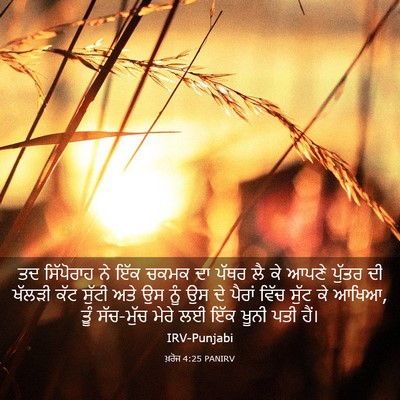 Picture 03 - ਖ਼ਰੋਜ 4:25 PANIRV - ਤਦ ਸਿੱਪੋਰਾਹ ਨੇ ਇੱਕ - Bible Verse Picture