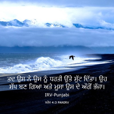 Picture 03 - ਖ਼ਰੋਜ 4:3 PANIRV - ਤਦ ਉਸ ਨੇ ਉਸ ਨੂੰ - Bible Verse Picture