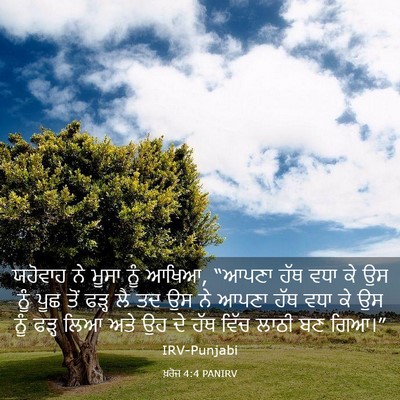Picture 03 - ਖ਼ਰੋਜ 4:4 PANIRV - ਯਹੋਵਾਹ ਨੇ ਮੂਸਾ ਨੂੰ - Bible Verse Picture
