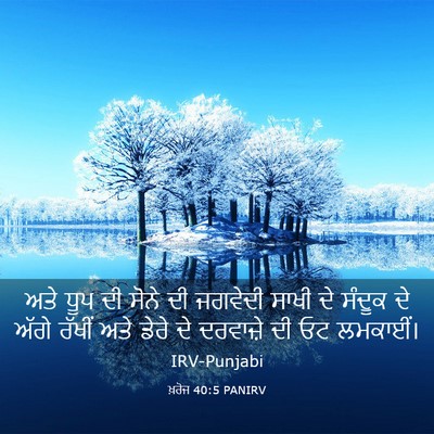 Picture 03 - ਖ਼ਰੋਜ 40:5 PANIRV - ਅਤੇ ਧੂਪ ਦੀ ਸੋਨੇ ਦੀ - Bible Verse Picture