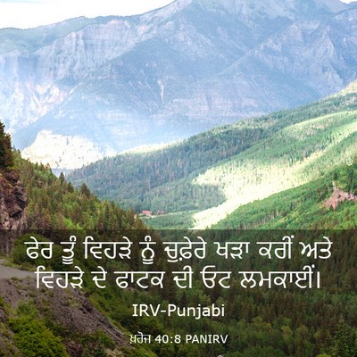 Picture 03 - ਖ਼ਰੋਜ 40:8 PANIRV - ਫੇਰ ਤੂੰ ਵਿਹੜੇ ਨੂੰ - Bible Verse Picture