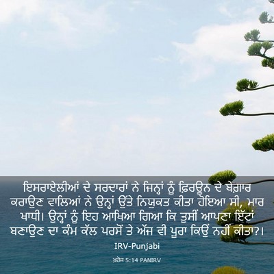 Picture 03 - ਖ਼ਰੋਜ 5:14 PANIRV - ਇਸਰਾਏਲੀਆਂ ਦੇ - Bible Verse Picture