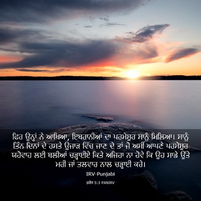 Picture 03 - ਖ਼ਰੋਜ 5:3 PANIRV - ਫਿਰ ਉਨ੍ਹਾਂ ਨੇ ਆਖਿਆ, - Bible Verse Picture