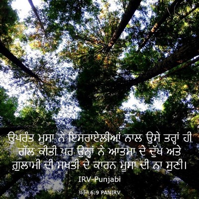 Picture 03 - ਖ਼ਰੋਜ 6:9 PANIRV - ਉਪਰੰਤ ਮੂਸਾ ਨੇ - Bible Verse Picture