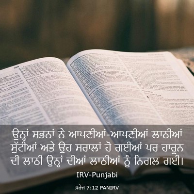 Picture 03 - ਖ਼ਰੋਜ 7:12 PANIRV - ਉਨ੍ਹਾਂ ਸਭਨਾਂ ਨੇ - Bible Verse Picture