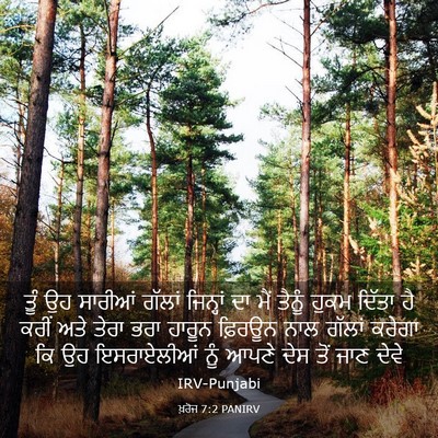 Picture 03 - ਖ਼ਰੋਜ 7:2 PANIRV - ਤੂੰ ਉਹ ਸਾਰੀਆਂ - Bible Verse Picture
