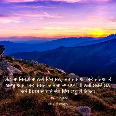 Picture 03 - ਖ਼ਰੋਜ 7:21 PANIRV - ਮੱਛੀਆਂ ਜਿਹੜੀਆਂ - Bible Verse Picture