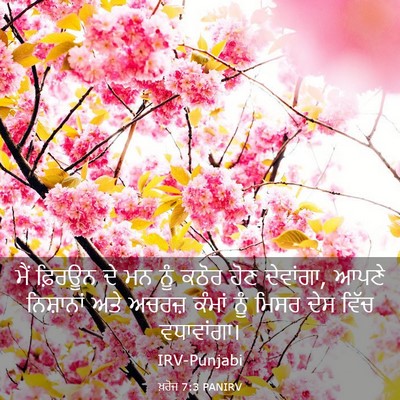 Picture 03 - ਖ਼ਰੋਜ 7:3 PANIRV - ਮੈਂ ਫ਼ਿਰਊਨ ਦੇ ਮਨ - Bible Verse Picture
