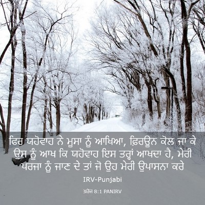 Picture 03 - ਖ਼ਰੋਜ 8:1 PANIRV - ਫਿਰ ਯਹੋਵਾਹ ਨੇ ਮੂਸਾ - Bible Verse Picture