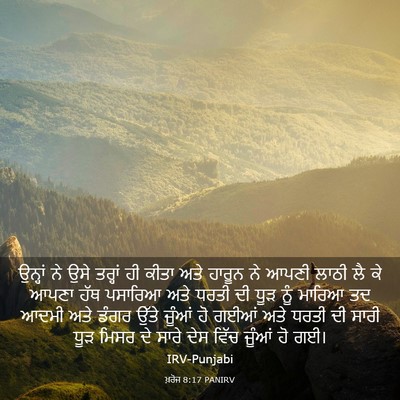 Picture 03 - ਖ਼ਰੋਜ 8:17 PANIRV - ਉਨ੍ਹਾਂ ਨੇ ਉਸੇ - Bible Verse Picture