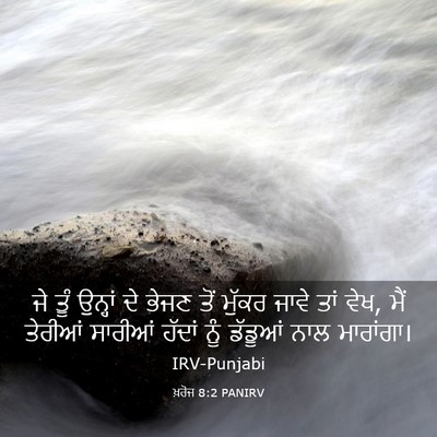 Picture 03 - ਖ਼ਰੋਜ 8:2 PANIRV - ਜੇ ਤੂੰ ਉਨ੍ਹਾਂ ਦੇ - Bible Verse Picture
