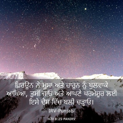 Picture 03 - ਖ਼ਰੋਜ 8:25 PANIRV - ਫ਼ਿਰਊਨ ਨੇ ਮੂਸਾ ਅਤੇ - Bible Verse Picture