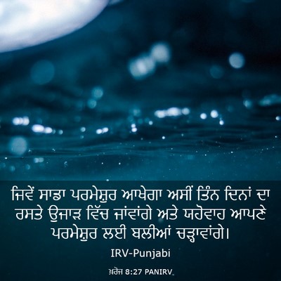 Picture 03 - ਖ਼ਰੋਜ 8:27 PANIRV - ਜਿਵੇਂ ਸਾਡਾ - Bible Verse Picture